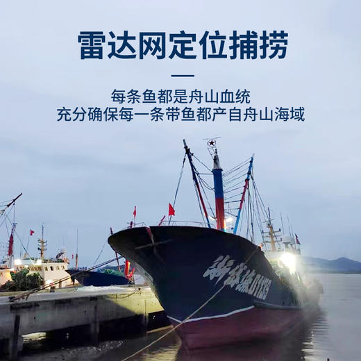【舟山雷达网 野生大带鱼】 无需去鳞！舟山原产地发货 顺丰冷链配送 整条套袋 独立包装 无冰净重（中带，大带，顶带可选） 商品图5