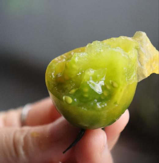 【纯甜翡绿降价啦！】晴甜圣女果 坚持藤上自然熟！拒绝催红，拒绝早摘！ 糖度高达10°+，甜得纯粹！让每一颗都吸饱阳光，攒足糖分！看着绿，吃着不酸，口感好好！ 商品图3