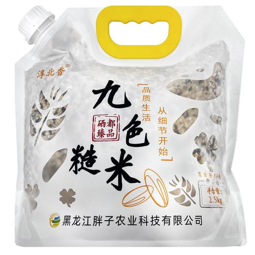 霍氏半亩田九色糙米2.5kg/袋 商品图0