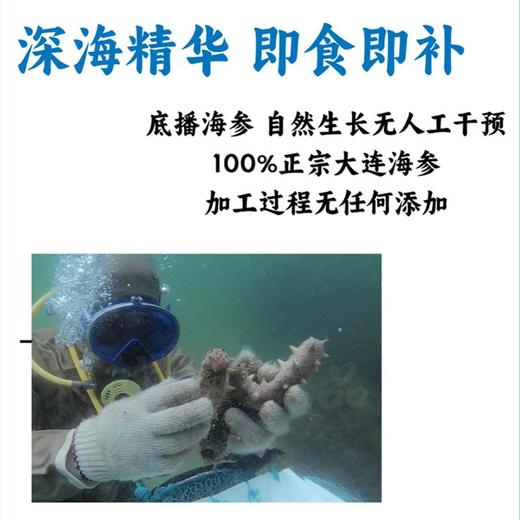 正兴同济堂即食海参臻品 商品图3