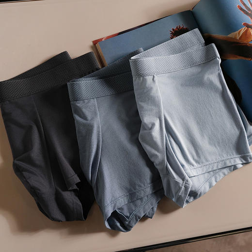 官网399！三条装安家50S莫代尔舒适无痕高弹男士内裤 透气干爽四角裤底裤三条装平角裤 商品图5