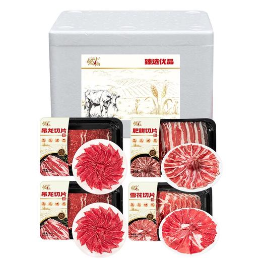 领小仙 潮汕牛肉组合600g 商品图0