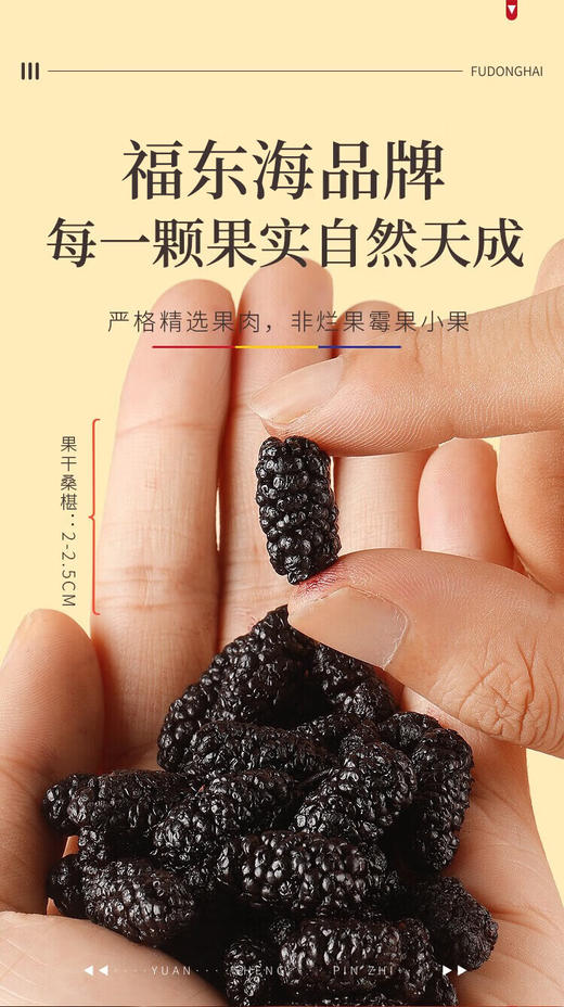 福东海桑椹500克/瓶（大果） 商品图2