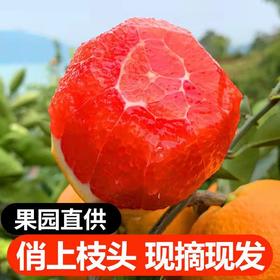 【赣南血橙】一口爆汁，京东发货！