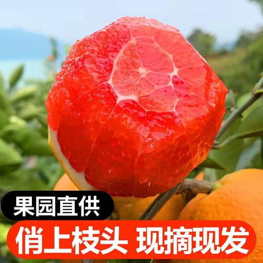 【赣南血橙】一口爆汁，京东发货！ 商品图0