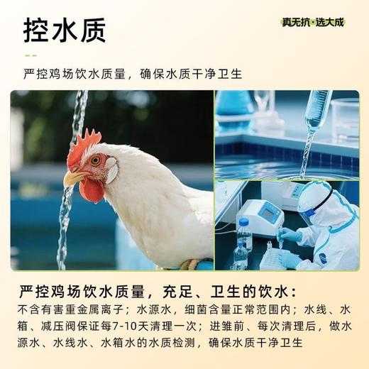 【冷冻生鲜食材】非即食 大成无抗鸡翅中230g/无抗橄榄油鸡扒蜜汁黑椒味
400g 袋装 商品图3