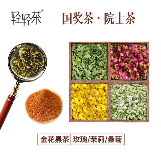 推荐 【轻轻茶·金花黑茶】三种口味  玫瑰/茉莉/桑菊黑茶  早中晚各一袋  身体轻盈  刮油降脂  速溶金花黑茶 黑茶中的灵芝  【0.5g*30袋/盒】 商品图1