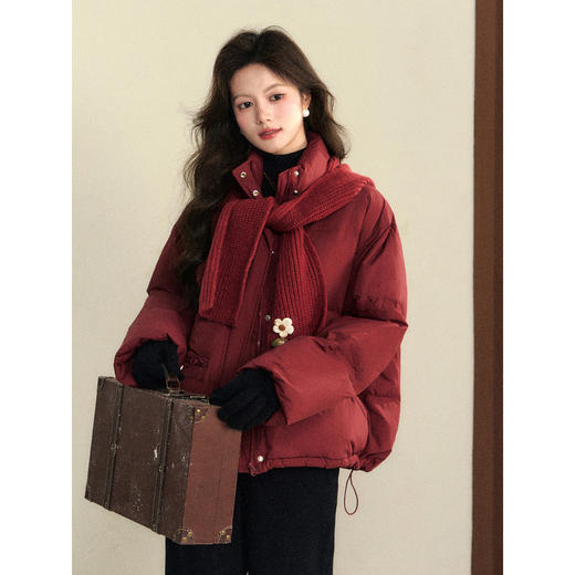 鹿向南「时光旅者」90白鸭绒复古红色羽绒服女秋冬季宽松保暖外套 商品图3