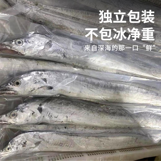 【舟山雷达网 野生大带鱼】 无需去鳞！舟山原产地发货 顺丰冷链配送 整条套袋 独立包装 无冰净重（中带，大带，顶带可选） 商品图3
