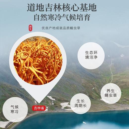 福东海 虫草花50克 蛹虫草北虫草花 菌菇干货炖汤煲汤火锅食材 金虫草花大孢子头 商品图2