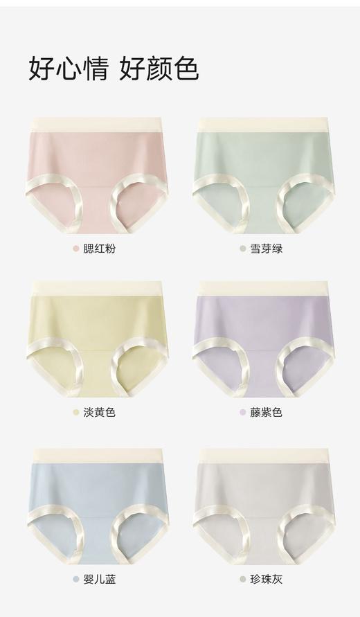 【7条装】正品芬腾女士云感棉朵裤AC8807 商品图5