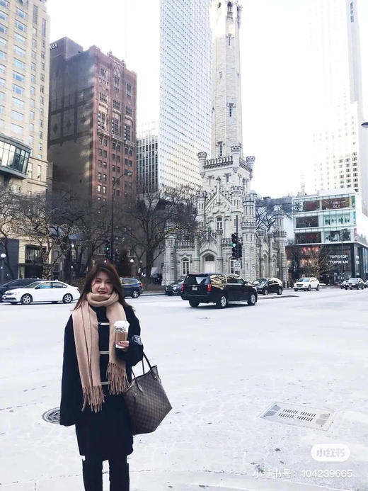 LV 中号 棕棋盘格 nf 单肩包 商品图4