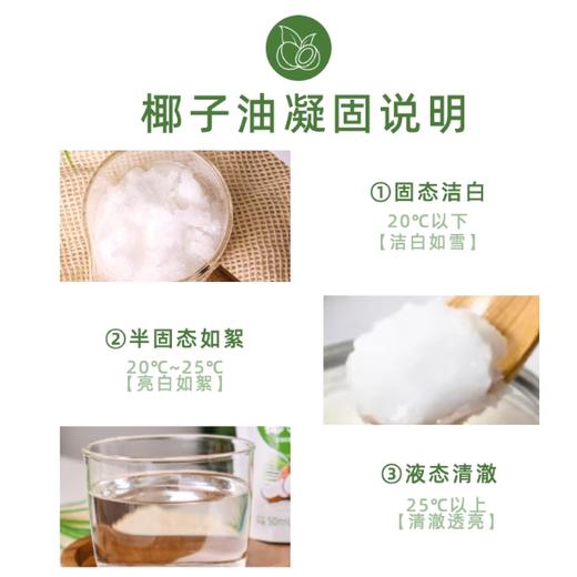 500ml 新博明 椰子油 冷榨椰油 食用烹饪炒菜煎蛋雪花酥蛋糕烘焙调味 商品图1