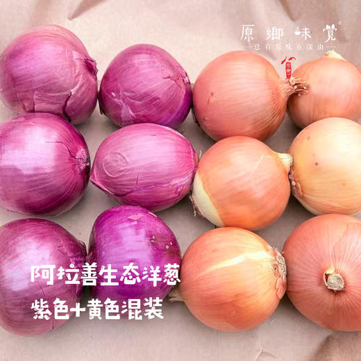 阿拉善生态洋葱（农场直发-顺丰包邮）| 5斤/件，来自内蒙古阿拉善大漠，生产者：马彦伟【合作生产，公平贸易】 商品图0