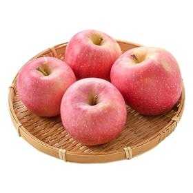 甘肃红富士苹果4粒装