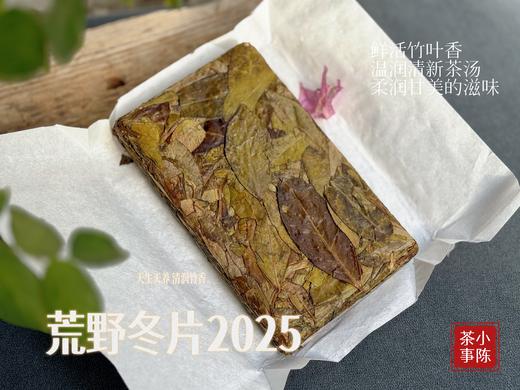 【会员专享】2025荒野冬片《金砖》限时预订，又糯，又稠，又香，又润，每一杯都是荒野白茶天然的恩赐 商品图5