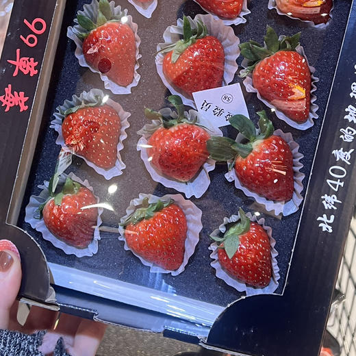 草莓墩墩 商品图7