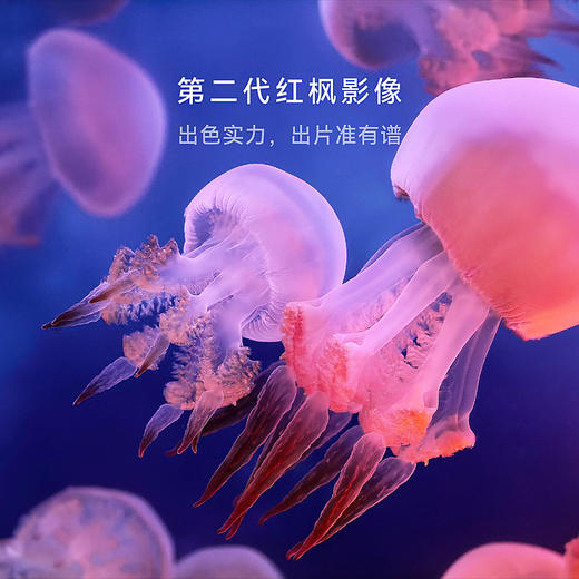 HUAWEI Mate X7 购机可享小范数码补贴300-500元 商品图12