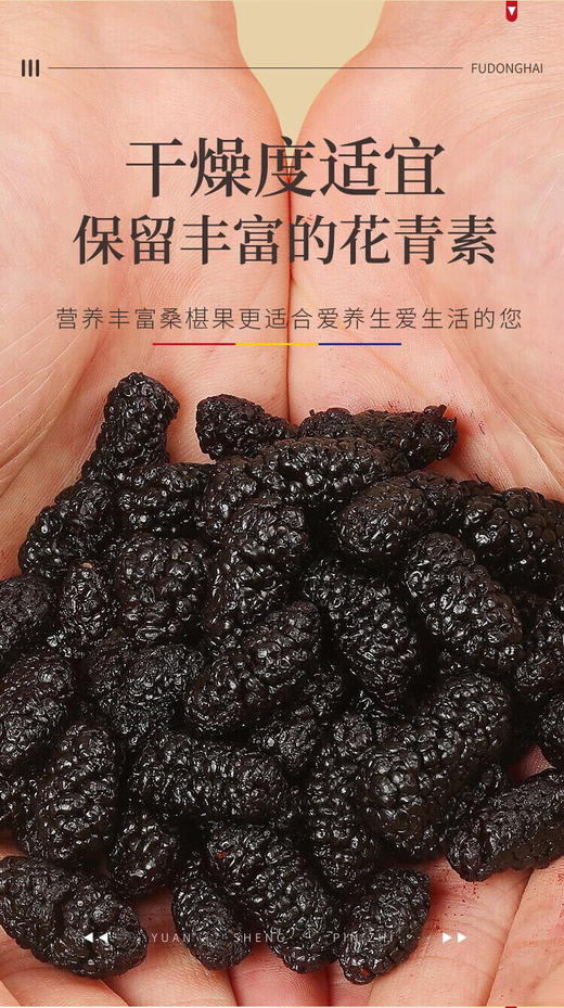 福东海桑椹500克/瓶（大果） 商品图1