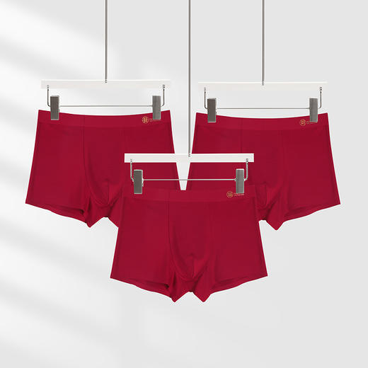 美奈川 发财福盒装男短裤DK13067 商品图0