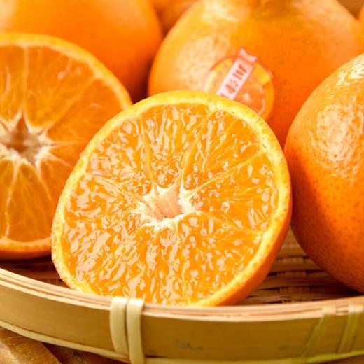 川津一号橘子 6粒/份 商品图3