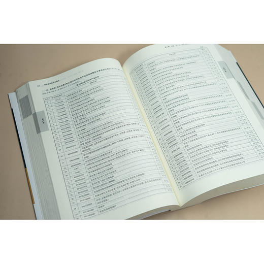 刑法适用规范总集成 李江林编 法律出版社 商品图4