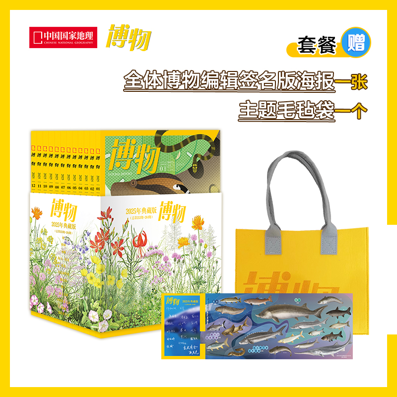 《博物》2025年典藏 内含全年12册  赠送全体博物编辑签名版海报和毛毡袋