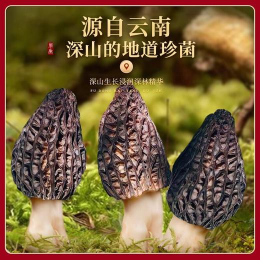 福东海 羊肚菌102克 商品图3