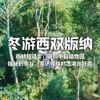 【寒假亲子营】雨林徒步&夜游植物园&家访傣族村落，5钻度假酒店连住 商品缩略图0