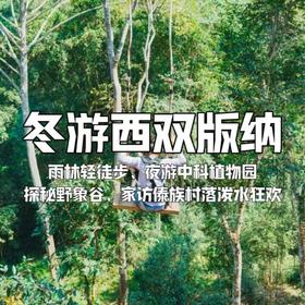 【寒假亲子营】雨林徒步&夜游植物园&家访傣族村落，5钻度假酒店连住