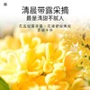 【福东海】桂花30克/瓶（铁罐） 商品缩略图3