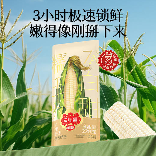 三胖蛋白甜糯玉米228g*6/10袋组合 商品图6