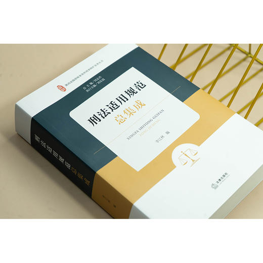 刑法适用规范总集成 李江林编 法律出版社 商品图2