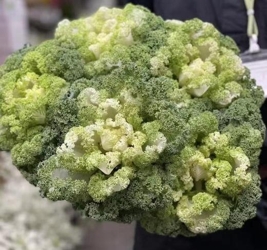 配花 | 青山翠 商品图0