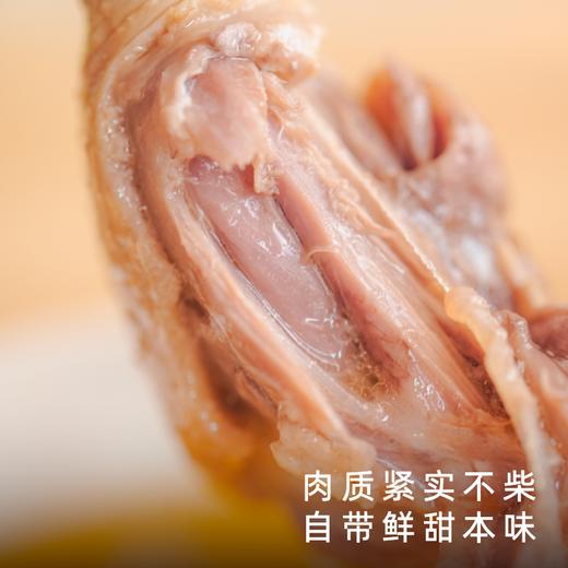 饱记福建三明白骛鸭紧实鲜甜闽西名特产 商品图2