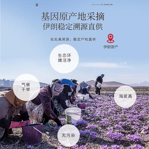福东海 伊朗藏红花礼盒12克【伊朗进口】优质全长红丝 花柱鲜红完整 女性滋补藏红花 七夕节礼物 商品图5