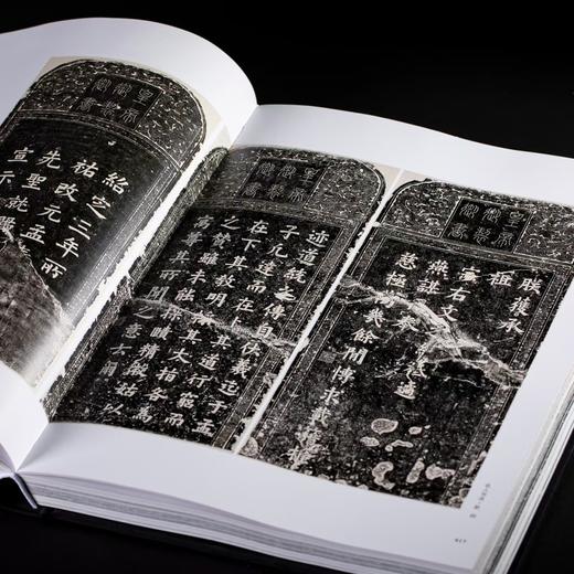 【特惠】《浙江书法大系 全16册》，16开精装，作者:中国美术学院中国画与书法艺术学院 编，上海书画出版社，2024年7月一版一印，定价：8800，售价：4099（原箱包邮） 商品图13