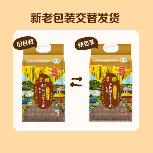 中粮初萃特别栽培五优稻4号稻花香大米5kg（新老包装交替） 商品图1