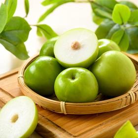 牛奶大青枣 500g/份