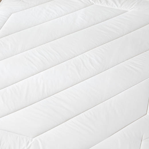 LOVO乐蜗-T-珍·悦 澳洲羊毛丝柔冬被 商品图5