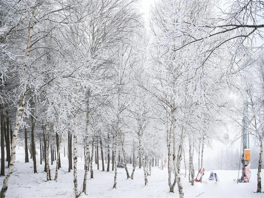 周末/元旦2日【崇礼徒步】欧式太舞小镇风情-镜湖环线 连林海-桦皮岭徒步（含温泉） 商品图1