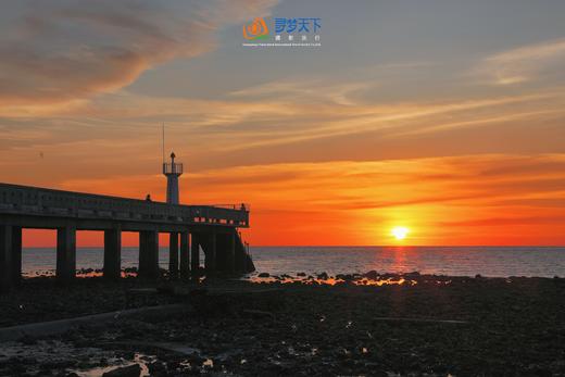 1月12/26日【徐闻】南极村•天成台•红树林候鸟3天（纯享送南航往返机票升级5天） 商品图9