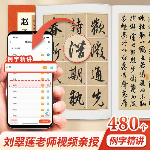 【书+课】赵孟頫洛神赋原碑帖 赵孟俯字帖行书毛笔字帖历代碑帖高清放大临摹本毛笔书法教程新华书店正版毛笔字初学入门赵孟俯洛神赋 商品图8