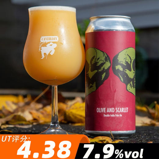 费登斯 红光绿影 473ml 商品图0