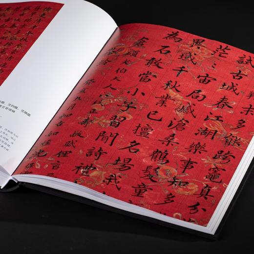 【特惠】《浙江书法大系 全16册》，16开精装，作者:中国美术学院中国画与书法艺术学院 编，上海书画出版社，2024年7月一版一印，定价：8800，售价：4099（原箱包邮） 商品图6