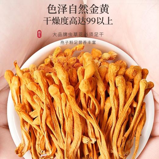 福东海 虫草花50克 蛹虫草北虫草花 菌菇干货炖汤煲汤火锅食材 金虫草花大孢子头 商品图4