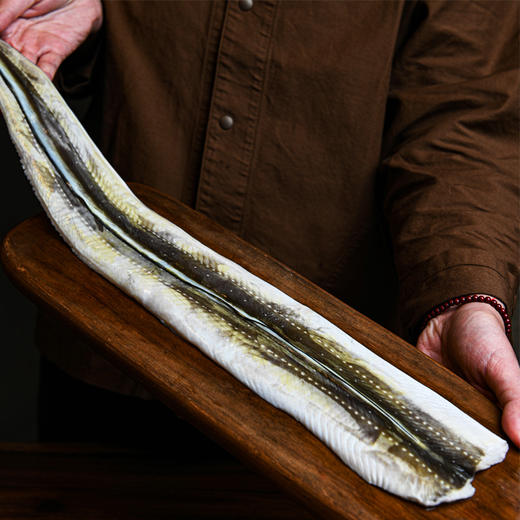 【全家福组合装】挪威青花鱼+野生星鳗鱼+三去大鱿鱼 商品图2