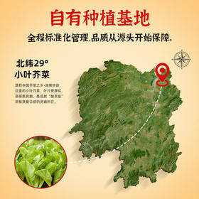 蓬盛潮汕炒酸菜原味70g*5袋 爽脆下饭菜 0添加防腐剂 即食咸菜 小包装 /粮油调味 /调味品 /榨菜/酱腌菜