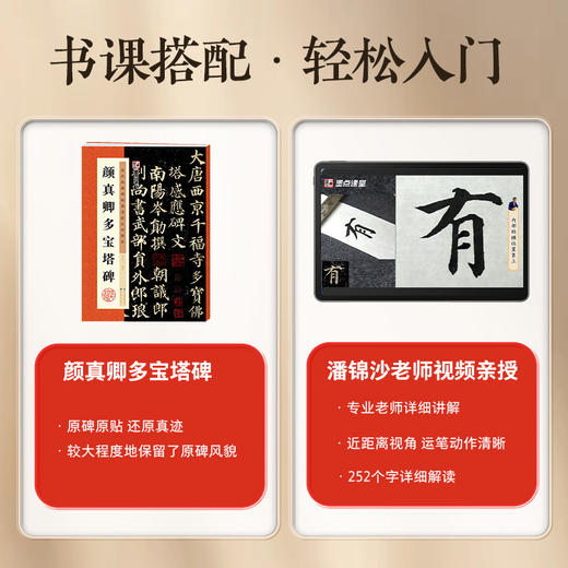 【书+课程】颜真卿多宝塔碑楷书字帖原碑全文收录例字放大视频教程墨点字帖 商品图7