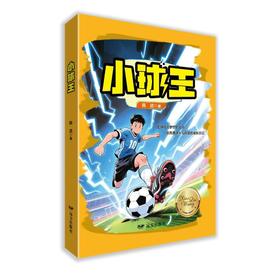 小球王--“白龙马”儿童文学丛书